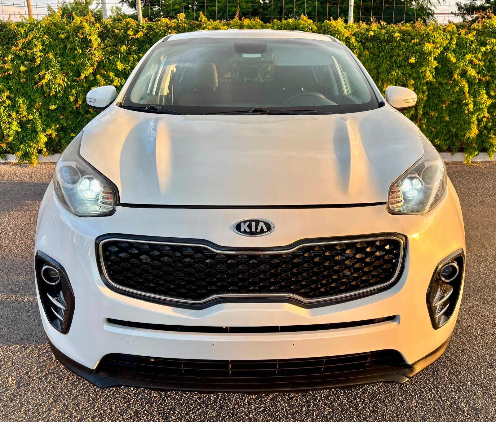 imagen_auto